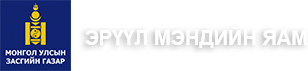 ТӨРИЙН ЗАХИРГААНЫ БОЛОН ҮЙЛЧИЛГЭЭНИЙ АЛБАН ХААГЧИЙН ЁС ЗҮЙН ДҮРЭМ 2019 ОН